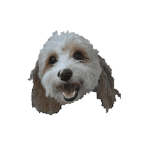Happy Sticker by doodlepro