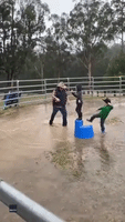Father Plays With Kids in Family's Flooded Arena