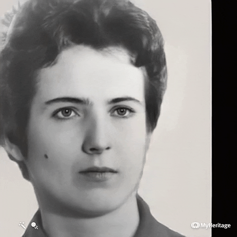 Vinbazar giphyupload GIF