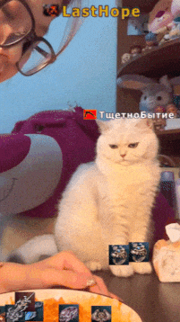 giphy.gif