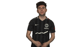 Eintracht Frankfurt Fifa Sticker by Bundesliga