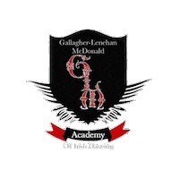 Champions Irish Sticker by Ashling Daly