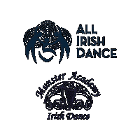 Champions Irish Sticker by Ashling Daly