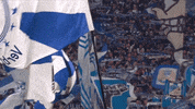 Football Soccer GIF by FC Schalke 04