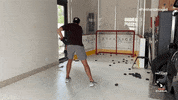 Hockey Nhl GIF by Florida Panthers
