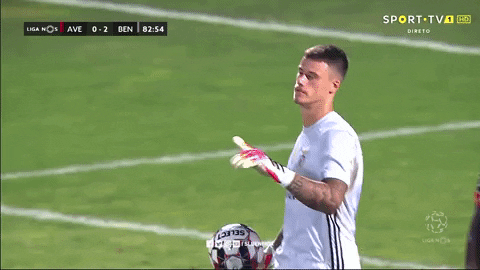 Mile Svilar Point GIF by Sport Lisboa e Benfica