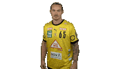 Handball-Bundesliga Handball Sticker by LIQUI MOLY HBL