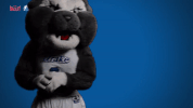 Drake Bulldogs GIF by Missouri Valley Conference