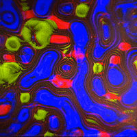 post_web love art animation loop GIF