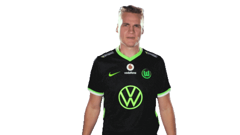 E Sports Sport Sticker by VfL Wolfsburg