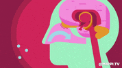 Drugs Brain GIF