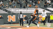 Regular Season Football GIF by NFL