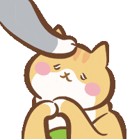 Cat Cheer Sticker by catgrass