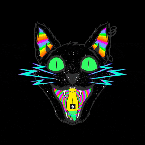 dilektunc cat trippy nft kitty GIF