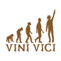Festival Part Sticker by DM7 Bookings