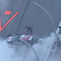 Celebration GIF
