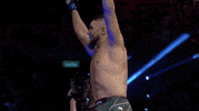 Johnny Walker Sport GIF by UFC