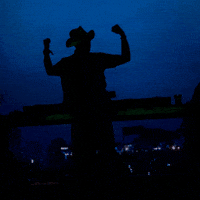 Green Velvet GIF by Respective