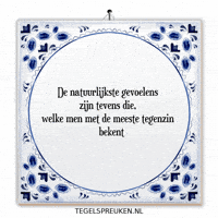 Nl Spanning GIF by Tegelspreuken.nl