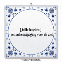 Humor Nl GIF by Tegelspreuken.nl