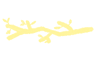 Christmas Advent Sticker by Bauhaus-Universität Weimar