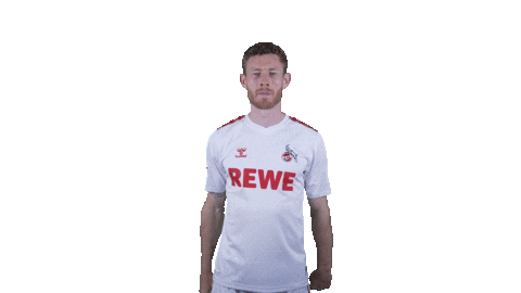1 Fc Cologne Football Sticker by 1. FC Köln