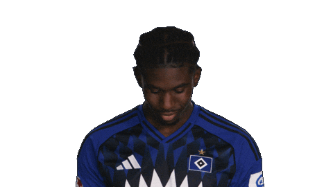 Look Up Hamburger Sv Sticker by Bundesliga