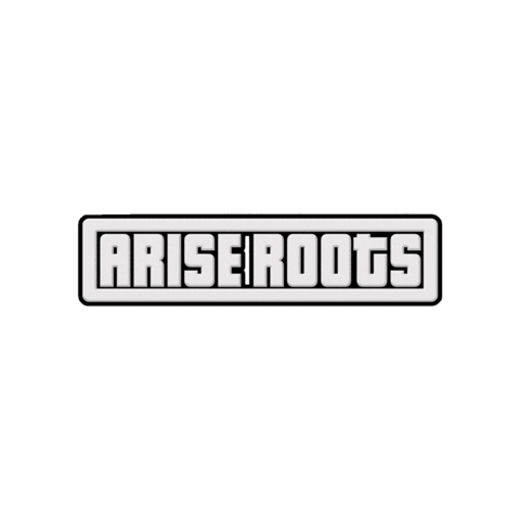 Los Angeles Ar Sticker by Arise Roots