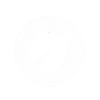Plant Based Vegan Sticker by Vivo Life