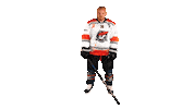 Hokej Pirati Sticker by Piráti Chomutov