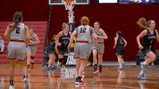 Dragon GIF by MSUM Dragons