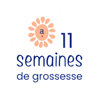 Pregnancy Grossesse Sticker by Absorba