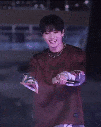 World Tour Arirang GIF
