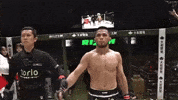 Ufc Raja GIF