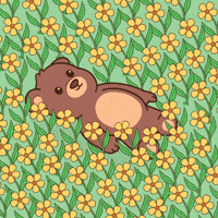 Happy Teddy Bear GIF by BEARISH