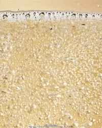 Fun Celebrate GIF by Milagro Tequila