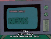 Season 1 GIF by The Simpsons