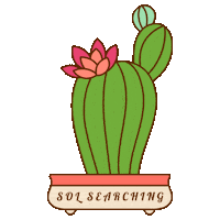 shopsols mexico shoes sustainability sustainable Sticker