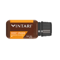 VintariOficial orange natural meditation balance Sticker