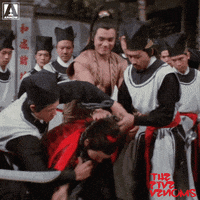Martial Arts Reaction GIF by Arrow Video