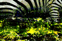 new media art GIF by G1ft3d