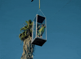 Matt Champion GIF by BROCKHAMPTON