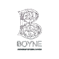 Champions Irish Sticker by Ashling Daly