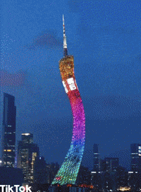 party dancing GIF by TikTok