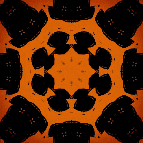 kendraplex giphygifmaker trippy psychedelic kaleidoscope GIF