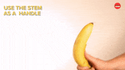6 Ways To Live Your Life Better GIF by BuzzFeed