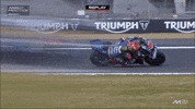 Fabio Quartararo Racing GIF by MotoGP™