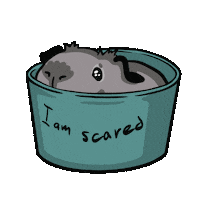 komorumotto guineapig komorumotto covy Sticker
