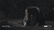 Season 1 Hbo GIF by Game of Thrones