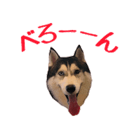 Animated Sticker